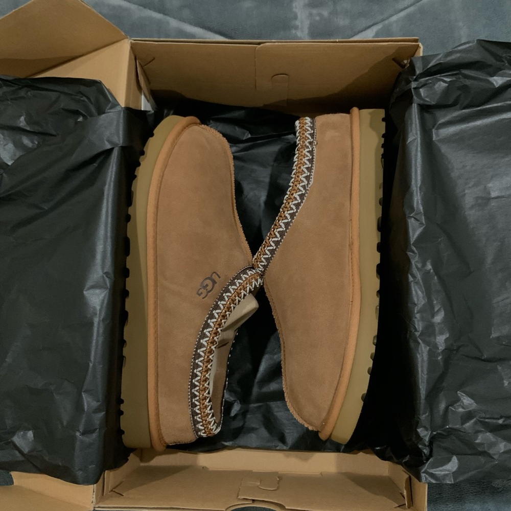 COPY - Tasman uggs